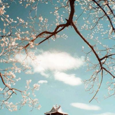 风云体育app下载安装苹果截图